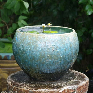 金魚 水槽 おしゃれ プランターの人気商品 通販 価格比較 価格 Com