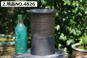 yN[|sI`11/11zMy Aؔ @Iׂ т˂(N) ʃr[h [ 6 TiT[rXyzyR쑐 A T{e ~͔ Ԗ؎ؕc AK