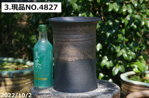 yN[|sI`11/27zMy Aؔ @Iׂ т˂(N) ʃr[h [ 6 TiT[rXyzyR쑐 A T{e ~͔ Ԗ؎ؕc AK