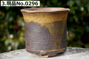 yN[|sI`10/30zMy Aؔ @Iׂ \Ђ˂S֔ 4.5iOa13cm 11cmj TiT[rX yR쑐 A T{e ~͔ ʎc AKx 򍪐Az