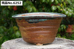 【クーポン発行中!〜10/30】信楽焼 植木鉢 陶器 選べる 伝統工芸士 藤原純 作 古仙堂窯 南蛮楕円足付鉢 7.5号(外径22.5cm 高さ12cm)サナサービス【山野草鉢 多肉植物鉢 サボテン鉢 盆栽