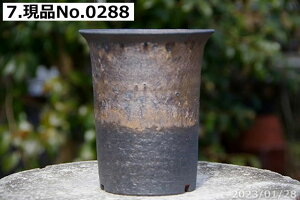 yN[|sI`11/11zт˂(N) Iׂ ʃr[hbp^ 4iOa13cm 15cm) TiT[rX My Aؔ  yR쑐 A T{e ~͔ ʎc A