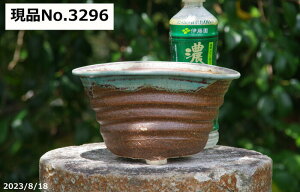 y10%OFFN[|Ώ `9/11zMy Aؔ @Iׂ@`H|m@  Ð哰q@ؑȉ~t 7.5iOa22.5cm 12cmjTiT[rXyR쑐 A T{e ~