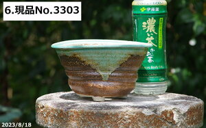 【クーポン発行中!〜10/30】信楽焼 植木鉢 信楽焼伝統工芸士 作家 藤原順 作(古仙堂窯)手びねり(ロクロ引き)  選べる 南蛮楕円足付鉢 6号 サナサービス【山野草鉢 多肉植物鉢 サボテン