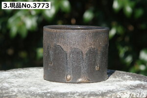 yN[|sI`10/9zMy Aؔ @Iׂ ~j ʃr[h 3.5 TiT[rXiOa11cm 8.5cmjyi~͔ ~j~͔ ^쐶zyR쑐 A T{