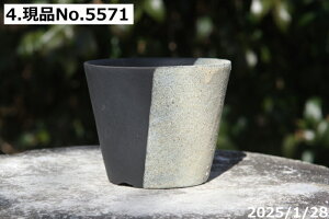 yN[|sI`11/11zyyΉzMy Aؔ  Iׂ@ |V[Y E| 3.3iOa10cm 8cmjTiT[rXyR쑐 A T{e ~͔ ʎc AK