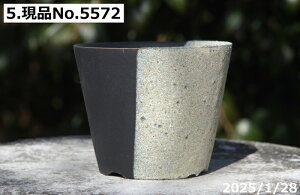 y10%OFFN[|Ώ `9/11zyyΉzMy Aؔ  Iׂ@ |V[Y E| 3.3iOa10cm 8cmjTiT[rXyR쑐 A T{e ~͔ ʎc AK