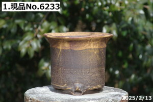 y7%OFFN[|ΏہI`12/15zMy Aؔ@Iׂ \Ђ˂Sց@ 6.5(Oa20cm 18cm) @TiT[rXyR쑐 A T{e ~͔ Ԗ؎ؕc ʎc AKx 򍪐A 