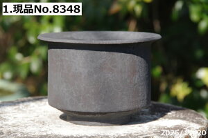 y7%OFFN[|ΏہI`12/15zȍygp@т˂(N) Iׂ S(q) [Gt(L) 5 TiT[rX@My Aؔ @yR쑐 A T{e ~͔