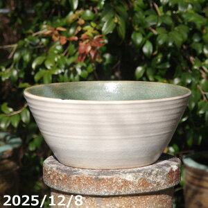 �y�ő�50%OFF�N�[�|�����s���I�z�y���i�E��_��No.0103�z��т˂�(���N������) ���}�b�g 12.5�� �T�i�T�[�r�X�@�M�y�� �A�ؔ��@�y�R�쑐�� �����A���� �T�{�e���� �~�͔� �ʎ��c �A�K�x �򍪐A