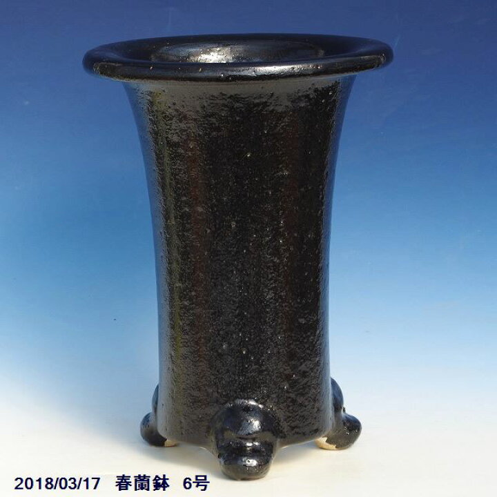 楽天市場】※窯元直送 愛楽園 春蘭鉢 6号 ☆サナサービス☆【京楽鉢/楽
