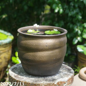 金魚 水槽 おしゃれ プランターの人気商品 通販 価格比較 価格 Com