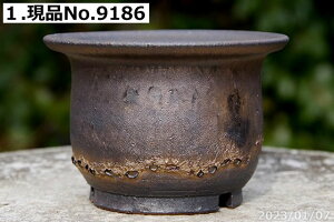 yN[|sI`11/27zMy Aؔ @Iׂ@т˂(N) tʃr[hiʃGtj 3.5yR쑐 A T{e ~͔ ʎc AKx 򍪐Az