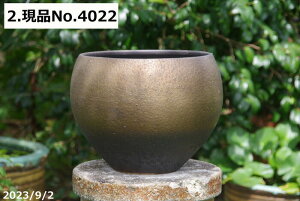 y20%OFFN[|sI`11/11zyyΉz My @ @Iׂ@㉺|ʁ@ې 10yzy _J XC rIg[v  O _J 