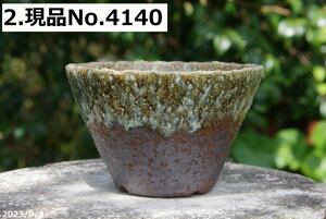y10%OFFN[|Ώ `9/11zMy Aؔ @Iׂ@qϒ[\ 5.5ia17cm 10cmjTiT[rXyR쑐 A T{e ~͔ Ԗ؎ؕc@ʎc@AKx@