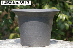 yN[|sI`11/11zMy Aؔ @т˂(N) ygp@Iׂ@Sց@5iOa15cm 11.5cmj@TiT[rX yR쑐 A T{e ~͔ ʎ