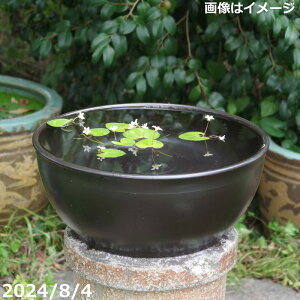 yyΉzMy @  ^@т˂iNj}bg@󐅔@13yzy _J @ rIg[v A JLco^z_bb