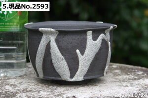 y7%OFFN[|ΏہI`12/15zMy Aؔ @Iׂ@Sց@}bgѓiBj4 TiT[rX yR쑐 A T{e ~͔ ʎc AKx 򍪐Az