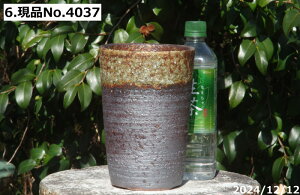 yN[|sI`11/27zyLYL̕ɂ͊zMy Aؔ @Iׂ qϒ 4.5iOa13.5cm 19.5cmj TiT[rX yR쑐 A T{e ~͔ Ԗ؎