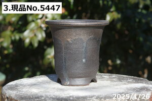 yN[|sI `9/25zIׂ ኄ(y[) ʃr[h 4iOa12-13cm 12-12.5cmj TiT[rX My Aؔ  yR쑐 A T{e ~͔ ʎc AK