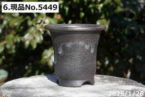 �y�ő�50%OFF�N�[�|�����s���I�z�I�ׂ� �ኄ����(�y����[) ���ʃr�[�h�� 4���i�O�a12-13cm ����12-12.5cm�j �T�i�T�[�r�X �M�y�� �A�ؔ� ���� �y�R�쑐�� �����A���� �T�{�e���� �~�͔� �ʎ��c �A