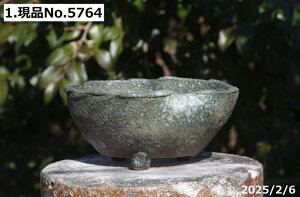 yN[|sI`11/11zIׂ@qϏt 8iOa25cm 10.5cmjMy Aؔ@yR쑐 A T{e ~͔ ʎc AKx 򍪐A AfjE R[fbNX p