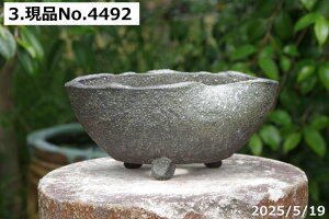 yN[|sI`11/27zIׂ@qϏt 8iOa25cm 10.5cmjMy Aؔ@yR쑐 A T{e ~͔ ʎc AKx 򍪐A AfjE R[fbNX p