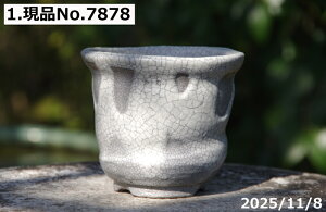 Iׂ т˂(N) }bgѓ[ 3.5ia10.5cm 9.5cmj TiT[rX@My Aؔ yR쑐 A T{e ~͔ ʎc AKx 򍪐Az