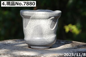 Iׂ т˂(N) }bgѓ[ 3.5ia10.5cm 9.5cmj TiT[rX@My Aؔ yR쑐 A T{e ~͔ ʎc AKx 򍪐Az