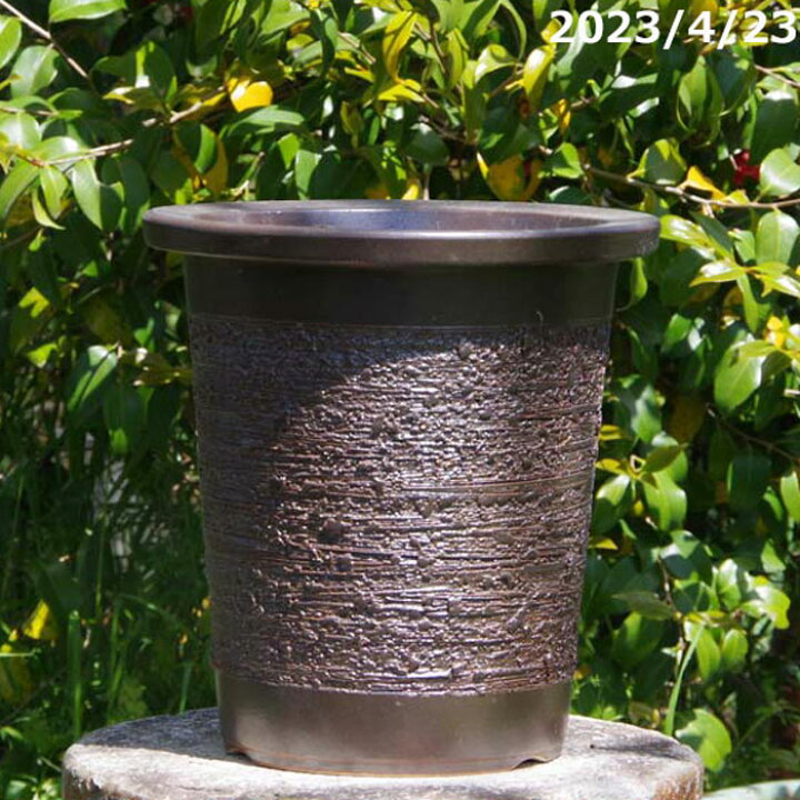楽天市場】信楽焼 植木鉢 窯肌懸崖鉢 8号（外径25cm 高さ27cm）【産地 