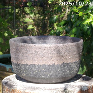 yiE_No.7586zт˂(N)@ʏ㉺| 8iOa24cm 13.5cmj TiT[rX@My Aؔ  yzyR쑐 A T{e ~͔ ʎc A