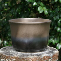楽天市場】信楽焼 植木鉢（サイズ（植木鉢）7 ～ 9号）の通販