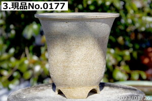 【クーポン発行中!〜10/30】信楽焼 植木鉢 選べる 雪割草鉢(楽風大深) 灰白上下掛分け 6号 サナサービス  【山野草鉢 多肉植物鉢 サボテン鉢 盆栽鉢 花木樹木苗 果樹苗 アガベ 塊根植