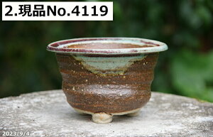y10%OFFN[|Ώ `9/11zMy Aؔ @Myē`H|m   iÐ哰qjIׂ ؑȉ~t 4.5ia13.5cm 8cmj TiT[rXyR쑐 A T{e