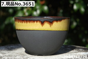 yLYL̕ɂ͊zIׂ@CG[KX۔@4iOa12.5cm 8.5cmjTiT[rX@My Aؔ @yR쑐 A T{e ~͔ ʎc AKx 򍪐A