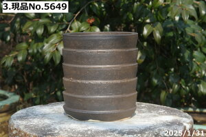 y7%OFFN[|ΏہI`12/15zMy Aؔ @Iׂ@-ubNS[h(C) 4iOa12.5cm 13.5cmjTiT[rXyR쑐 A T{e ~͔ ʎc AKx 򍪐A