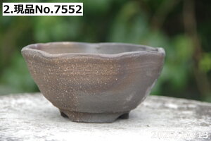 yN[|sI`11/27zIׂ@т˂(N) qσEF[u 4ia13cm 7cmjTiT[rX@My Aؔ yR쑐 A T{e ~͔ ʎc AKx