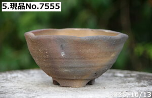 yN[|sI`11/27zIׂ@т˂(N) qσEF[u 4ia13cm 7cmjTiT[rX@My Aؔ yR쑐 A T{e ~͔ ʎc AKx