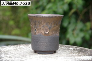 yN[|sI`11/11zIׂ т˂(N) ʃr[hؗ 3iOa9cm 10cmj TiT[rX@My Aؔ @ yR쑐 A T{e ~͔ ʎc A