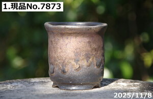 y7%OFFN[|ΏہI`12/15zIׂ@т˂(N) Ȋ^ڔSygp@ʃr[h [ 2.5TiT[rX@My Aؔ @yR쑐 A T{e ~͔ 