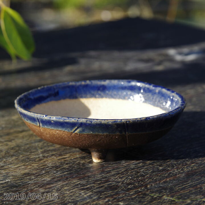 楽天市場】【10%OFFクーポン対象 〜3/18】信楽焼 植木鉢 陶器 瑠璃釉丸 