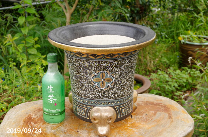 楽天市場】【現品 No.0354】 京楽焼 植木鉢 澤善作 万年青錦鉢 10号 
