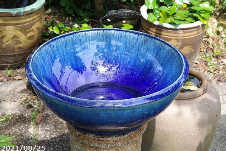 楽天市場】信楽焼 睡蓮鉢 陶器 大型 青ガラス浅型水鉢 19号（外径58cm 
