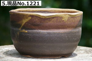 【クーポン発行中!〜10/30】信楽焼 植木鉢 陶器 選べる 中深鉄釉鉢 5号(外径15cm 高さ9cm)【山野草鉢 多肉植物鉢 サボテン鉢 盆栽鉢 花木樹木苗 果樹苗 アガベ 塊根植物 珍奇植物 ビザール