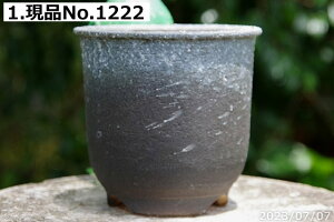 y10%OFFN[|Ώ `9/11zyLYL̕ɂ͊zMy Aؔ @Iׂ Ȃ ኄ 5iOa14.8cm 14.4cmj@TiT[rXyR쑐 A T{e ~͔ 