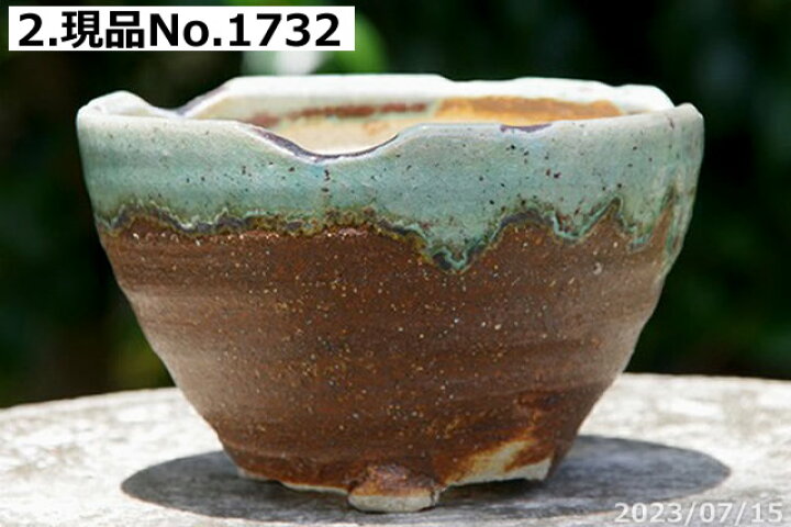 楽天市場】信楽焼 植木鉢 陶器 信楽焼伝統工芸士 作家 藤原順 作（古仙  