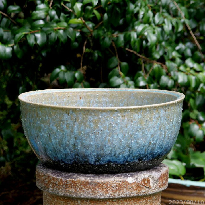 信楽焼 メダカ鉢 睡蓮 水鉢 直径40cm 楽天市場】【あす楽対応 