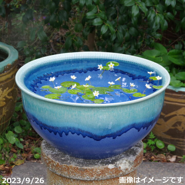 楽天市場】【あす楽】信楽焼 睡蓮鉢 陶器 大型 青ビードロ流しトチリ 