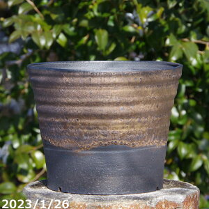 �y���i�E��_��No.0127�z��т˂�(���N������)�@���ʃr�[�h�� 9���@ �T�i�T�[�r�X�@�M�y�� �A�ؔ��y���������z�y���� ��^ ���O�z�y�R�쑐�� �����A���� �T�{�e���� �~�͔� �ʎ��c �A�K�x ��