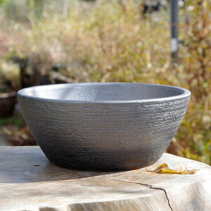 ʃ{[^ 9iOa27cm 11cmjTiT[rXMy Aؔyzy ^ OzyR쑐 A T{e ~͔ ʎc AKx 򍪐A AfjE R[fbNX